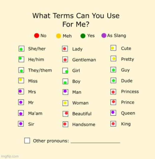 Ayyy | image tagged in pronouns sheet | made w/ Imgflip meme maker