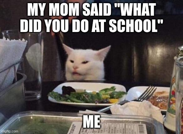 me after school 2 | MY MOM SAID "WHAT DID YOU DO AT SCHOOL"; ME | image tagged in salad cat | made w/ Imgflip meme maker