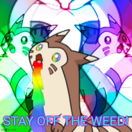 Furret on Acid | STAY OFF THE WEED! | image tagged in furret on acid | made w/ Imgflip meme maker