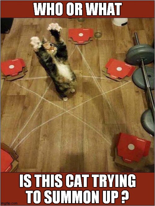 Now That's One Scary Cat ! | WHO OR WHAT; IS THIS CAT TRYING
TO SUMMON UP ? | image tagged in cats,pentagon,summon | made w/ Imgflip meme maker