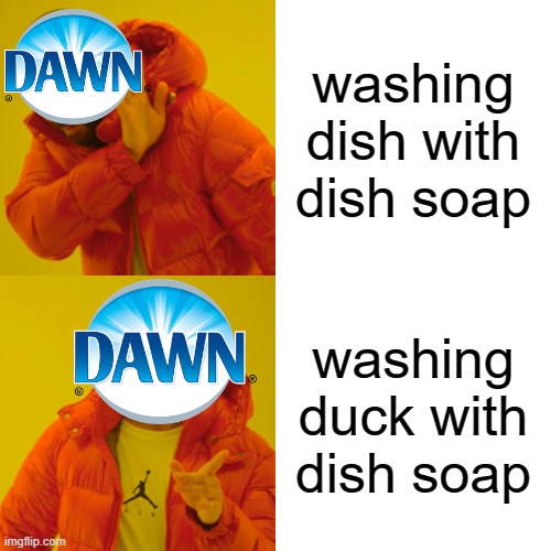 Drake Hotline Bling | washing dish with dish soap; washing duck with dish soap | image tagged in memes,drake hotline bling,dawn,duck,dishes,soap | made w/ Imgflip meme maker