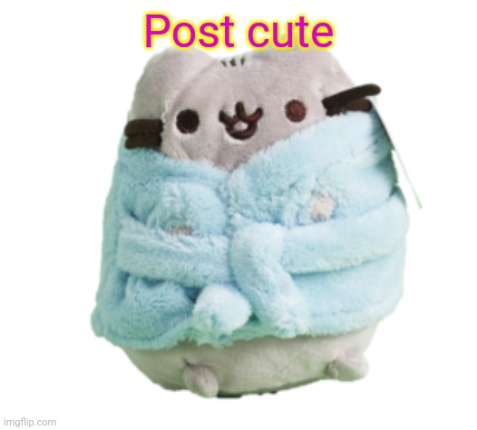 Pusheen bathrobe plush | Post cute | image tagged in pusheen bathrobe plush | made w/ Imgflip meme maker