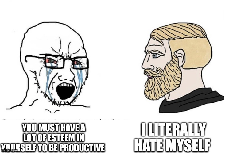 treu | I LITERALLY HATE MYSELF; YOU MUST HAVE A LOT OF ESTEEM IN YOURSELF TO BE PRODUCTIVE | image tagged in soyboy vs yes chad | made w/ Imgflip meme maker