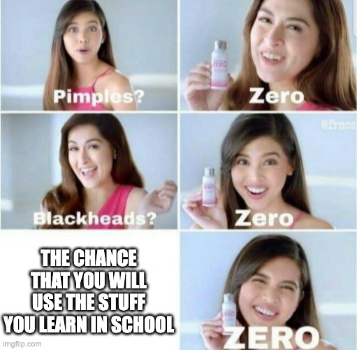Zero | THE CHANCE THAT YOU WILL USE THE STUFF YOU LEARN IN SCHOOL | image tagged in pimples zero | made w/ Imgflip meme maker