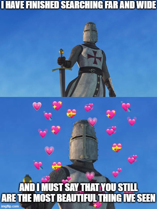 you are <3 | I HAVE FINISHED SEARCHING FAR AND WIDE; AND I MUST SAY THAT YOU STILL ARE THE MOST BEAUTIFUL THING IVE SEEN | image tagged in wholesome,crusader | made w/ Imgflip meme maker