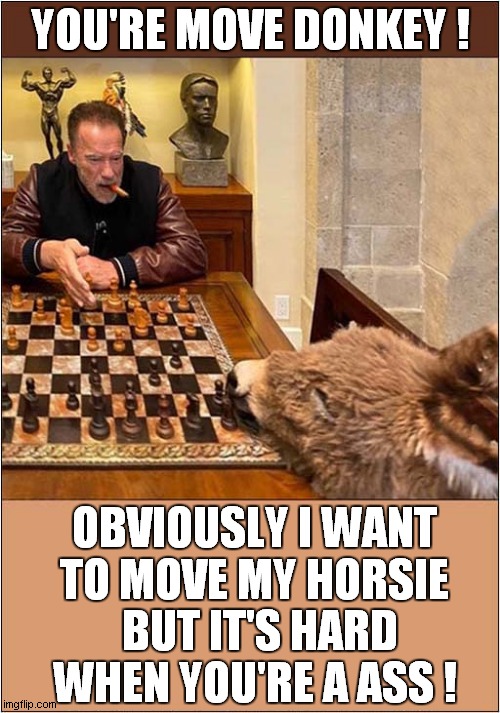 Arnie Vs Donkey ! | YOU'RE MOVE DONKEY ! OBVIOUSLY I WANT
TO MOVE MY HORSIE; BUT IT'S HARD WHEN YOU'RE A ASS ! | image tagged in arnold schwarzenegger,donkey,chess | made w/ Imgflip meme maker