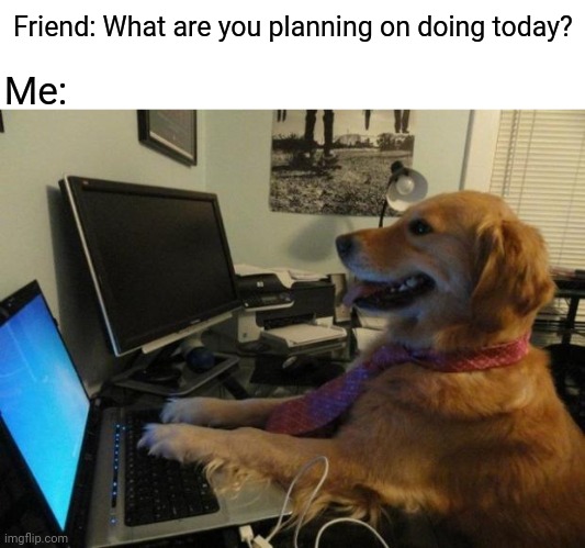 Internet | Friend: What are you planning on doing today? Me: | image tagged in dog behind a computer,internet,computer,memes,meme,friend | made w/ Imgflip meme maker