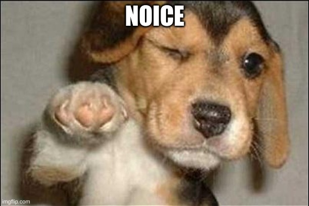 good job dog | NOICE | image tagged in good job dog | made w/ Imgflip meme maker