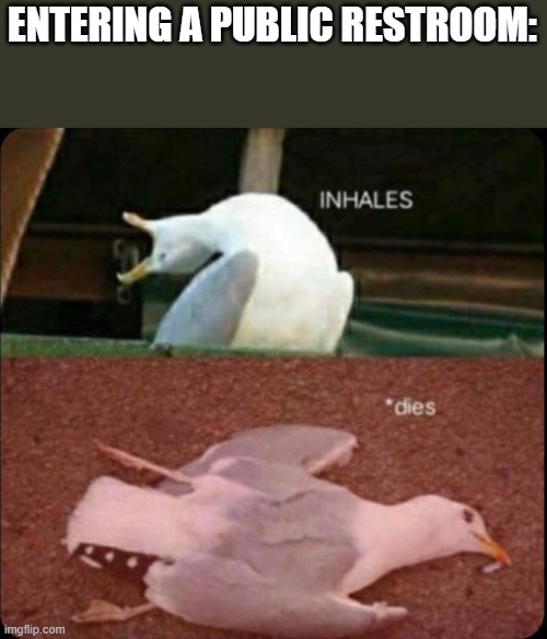 *dies of death* | ENTERING A PUBLIC RESTROOM: | image tagged in inhales dies bird | made w/ Imgflip meme maker