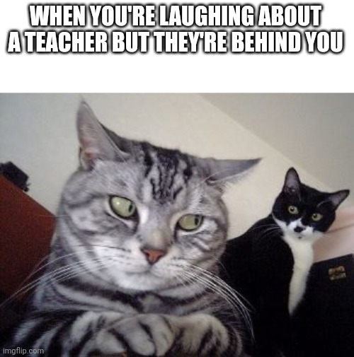 Uhhh... | WHEN YOU'RE LAUGHING ABOUT A TEACHER BUT THEY'RE BEHIND YOU | image tagged in umm excuse me | made w/ Imgflip meme maker