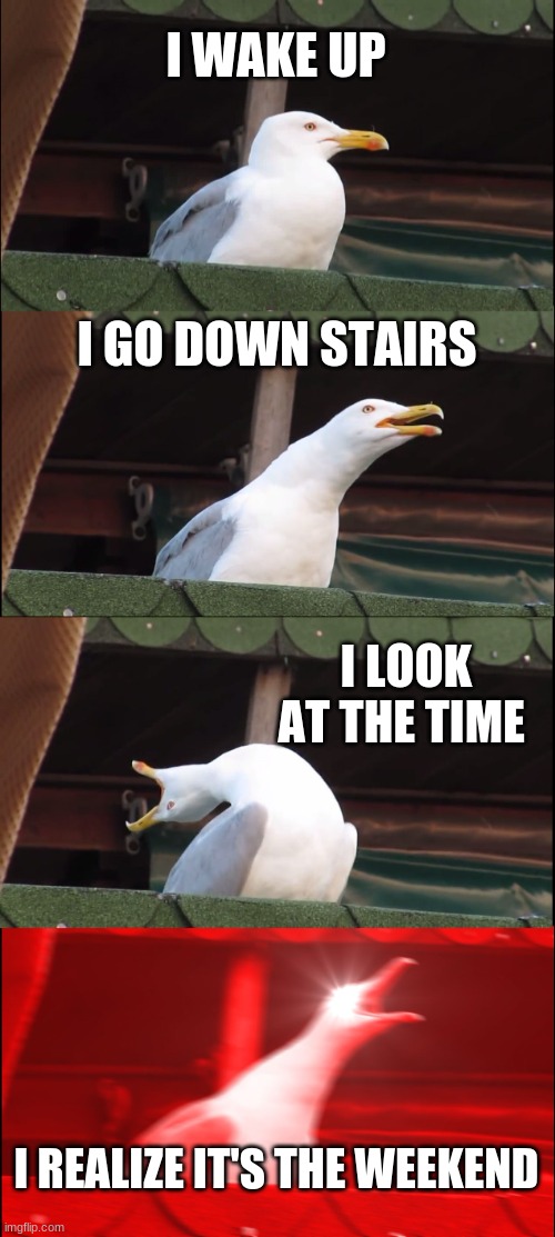Inhaling Seagull | I WAKE UP; I GO DOWN STAIRS; I LOOK AT THE TIME; I REALIZE IT'S THE WEEKEND | image tagged in memes,inhaling seagull | made w/ Imgflip meme maker