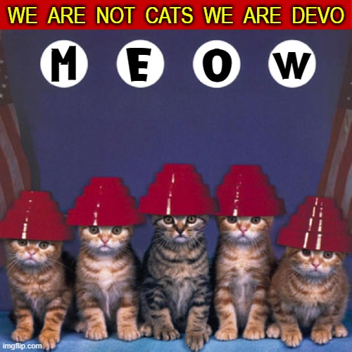 WE  ARE  NOT  CATS  WE  ARE  DEVO; M; E; O; W | image tagged in vince vance,cats,meow,devo,album cover,i love cats | made w/ Imgflip meme maker