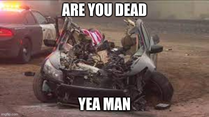 road rage | ARE YOU DEAD; YEA MAN | image tagged in road rage | made w/ Imgflip meme maker