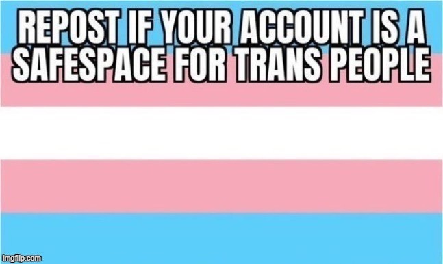 trans | image tagged in transgender,trans,safe space | made w/ Imgflip meme maker