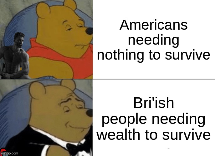 AMerica | Americans needing nothing to survive; Bri'ish people needing wealth to survive | image tagged in memes,tuxedo winnie the pooh | made w/ Imgflip meme maker