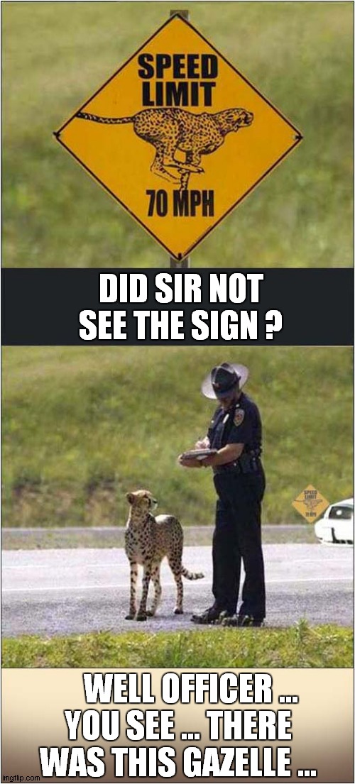 Have You Ever Tried To Talk Yourself Out Of A Speeding Ticket ? | DID SIR NOT SEE THE SIGN ? WELL OFFICER ...
YOU SEE ... THERE WAS THIS GAZELLE ... | image tagged in cheetah,speeding ticket | made w/ Imgflip meme maker