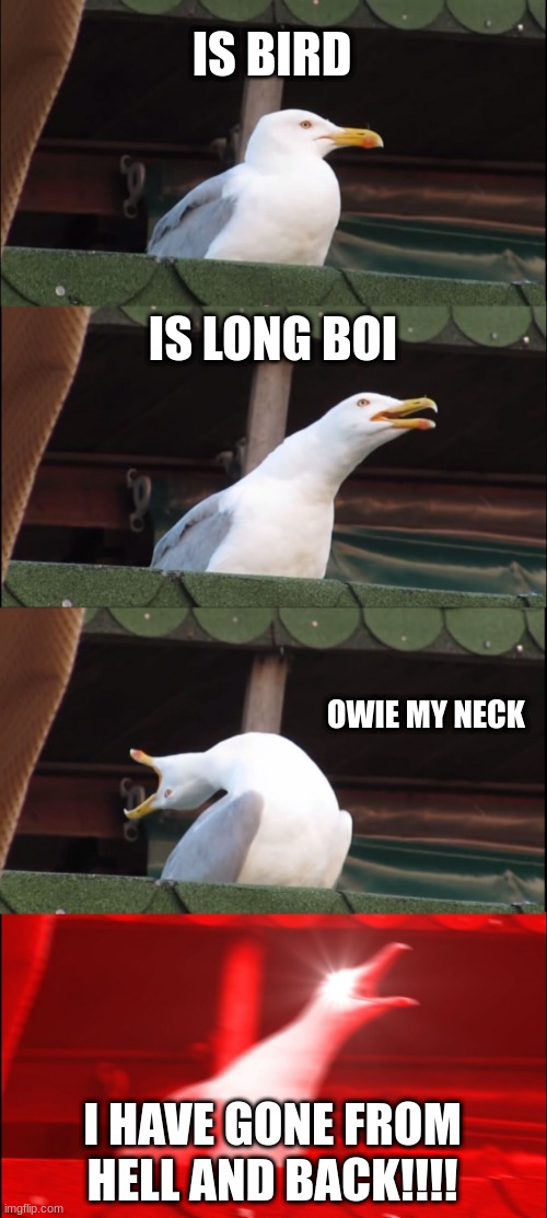 lel seegull | IS BIRD; IS LONG BOI; OWIE MY NECK; I HAVE GONE FROM HELL AND BACK!!!! | image tagged in memes,inhaling seagull | made w/ Imgflip meme maker