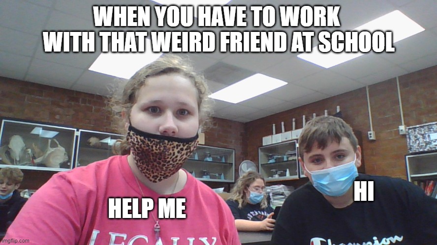 when you have to work with the weird friend | WHEN YOU HAVE TO WORK  WITH THAT WEIRD FRIEND AT SCHOOL; HI; HELP ME | image tagged in funny | made w/ Imgflip meme maker