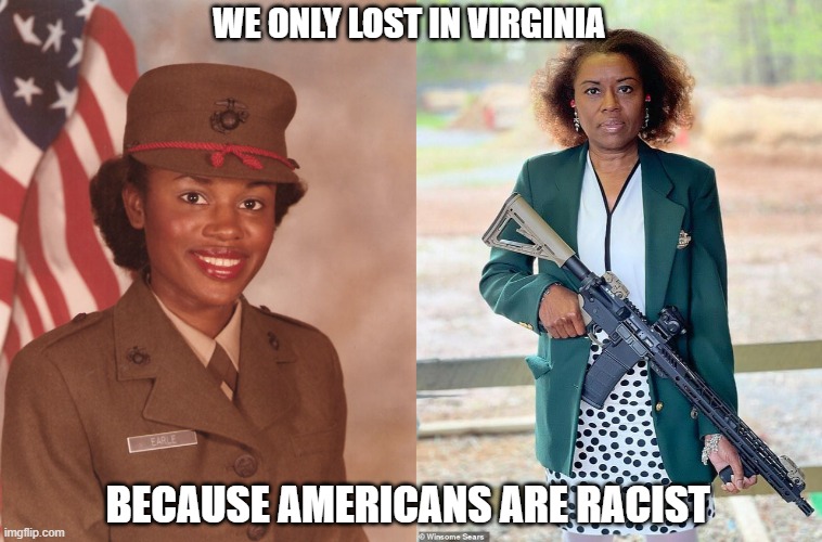 We only lost in Virginia because Americans are racist | WE ONLY LOST IN VIRGINIA; BECAUSE AMERICANS ARE RACIST | image tagged in virginia,racist | made w/ Imgflip meme maker