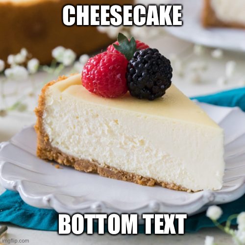 Cheesecake 5.0 | CHEESECAKE; BOTTOM TEXT | image tagged in cheesecake,lol so funny | made w/ Imgflip meme maker
