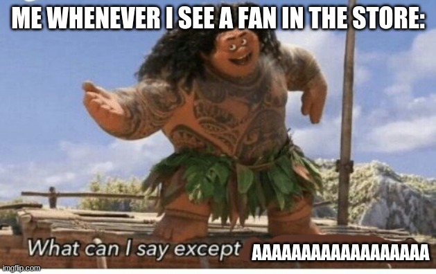 me when i see a fan in the store | ME WHENEVER I SEE A FAN IN THE STORE:; AAAAAAAAAAAAAAAAAA | image tagged in moana maui what can i say except blank,fan,store,stop reading the tags | made w/ Imgflip meme maker