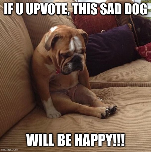 UPVOTE PLS | IF U UPVOTE, THIS SAD DOG; WILL BE HAPPY!!! | image tagged in bulldogsad | made w/ Imgflip meme maker