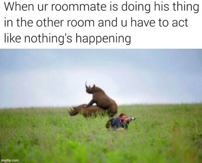 Roommates can suck. | image tagged in roommates | made w/ Imgflip meme maker