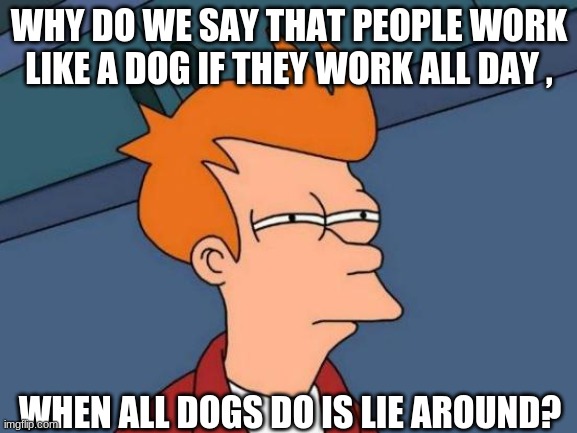Think about this 2 | WHY DO WE SAY THAT PEOPLE WORK LIKE A DOG IF THEY WORK ALL DAY , WHEN ALL DOGS DO IS LIE AROUND? | image tagged in memes,futurama fry | made w/ Imgflip meme maker