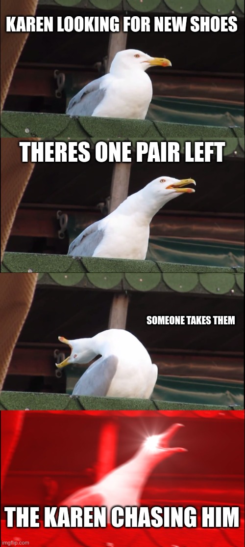 karen | KAREN LOOKING FOR NEW SHOES; THERES ONE PAIR LEFT; SOMEONE TAKES THEM; THE KAREN CHASING HIM | image tagged in memes,inhaling seagull | made w/ Imgflip meme maker