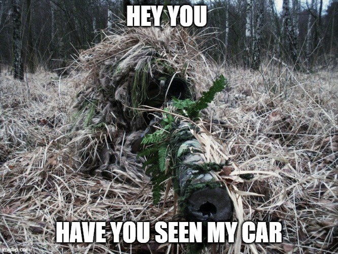 Ghillie | HEY YOU HAVE YOU SEEN MY CAR | image tagged in ghillie | made w/ Imgflip meme maker