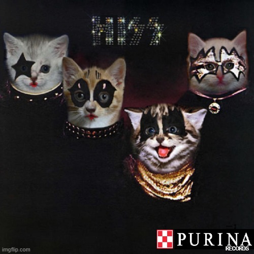 Purina Records Present: HISS | RECORDS | image tagged in vince vance,cats,memes,kiss,hiss,meow | made w/ Imgflip meme maker