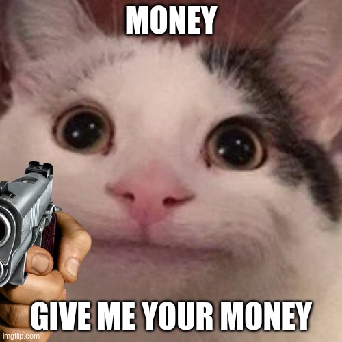 MONEY; GIVE ME YOUR MONEY | image tagged in beluga | made w/ Imgflip meme maker