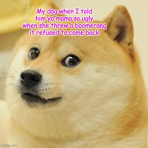 Doge | My dog when I told him yo mama so ugly when she threw a boomerang it refused to come back | image tagged in memes,doge | made w/ Imgflip meme maker