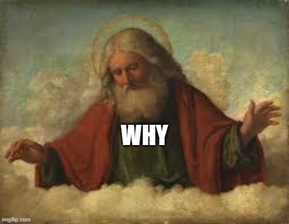 god | WHY | image tagged in god | made w/ Imgflip meme maker