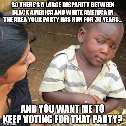 Imagine saying you need to keep your job because what you manage is ran poorly. | SO THERE'S A LARGE DISPARITY BETWEEN BLACK AMERICA AND WHITE AMERICA IN THE AREA YOUR PARTY HAS RUN FOR 30 YEARS... AND YOU WANT ME TO KEEP VOTING FOR THAT PARTY? | image tagged in third world skeptical kid,democrats,liberal logic,stupid liberals,trash,politics | made w/ Imgflip meme maker