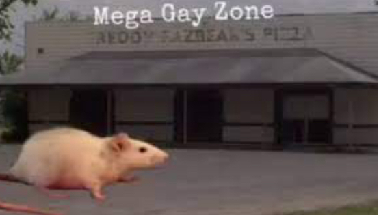 High Quality Mega gay zone Blank Meme Template