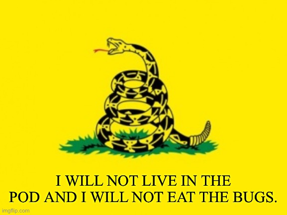 Gadsden Flag | I WILL NOT LIVE IN THE POD AND I WILL NOT EAT THE BUGS. | image tagged in gadsden flag | made w/ Imgflip meme maker