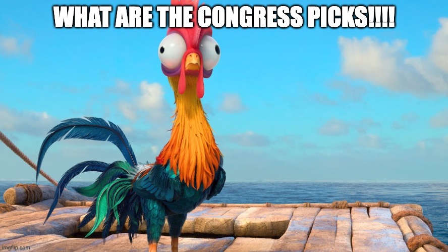 Hei Hei | WHAT ARE THE CONGRESS PICKS!!!! | image tagged in hei hei | made w/ Imgflip meme maker