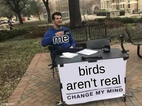 its true | me; birds aren't real | image tagged in memes,change my mind | made w/ Imgflip meme maker