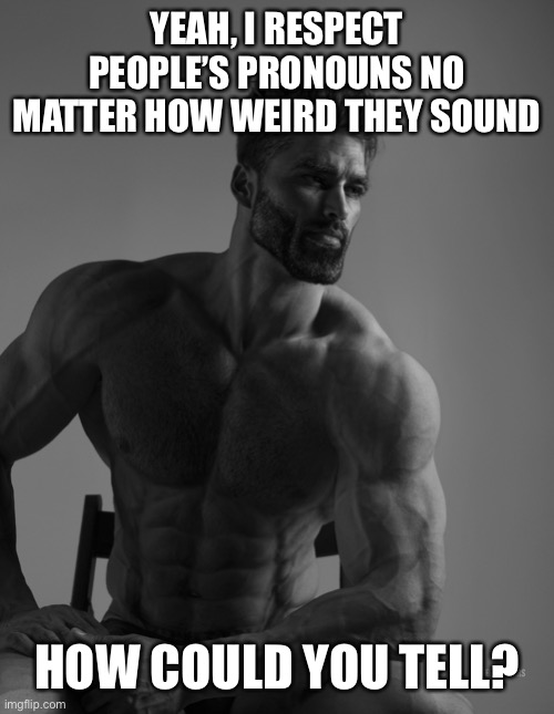 Giga Chad | YEAH, I RESPECT PEOPLE’S PRONOUNS NO MATTER HOW WEIRD THEY SOUND; HOW COULD YOU TELL? | image tagged in giga chad | made w/ Imgflip meme maker