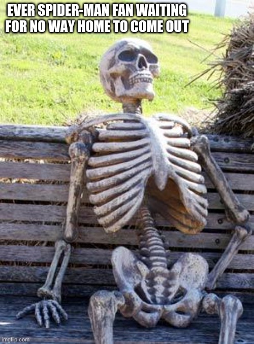 im waiting... | EVER SPIDER-MAN FAN WAITING FOR NO WAY HOME TO COME OUT | image tagged in memes,waiting skeleton,marvel | made w/ Imgflip meme maker