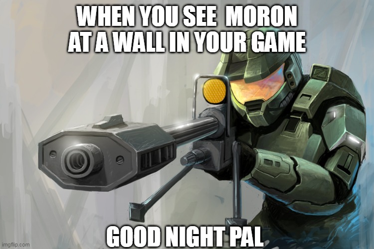The one Guy you hate | WHEN YOU SEE  MORON AT A WALL IN YOUR GAME; GOOD NIGHT PAL | image tagged in halo sniper | made w/ Imgflip meme maker