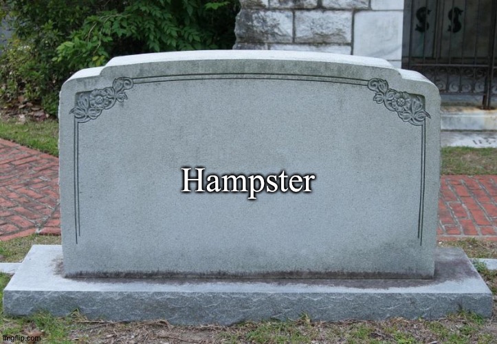 Gravestone | Hampster | image tagged in gravestone | made w/ Imgflip meme maker