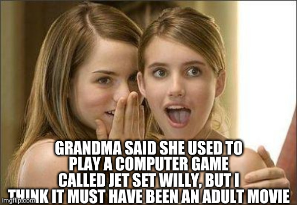 Girls gossiping | GRANDMA SAID SHE USED TO
PLAY A COMPUTER GAME
CALLED JET SET WILLY, BUT I
THINK IT MUST HAVE BEEN AN ADULT MOVIE | image tagged in girls gossiping | made w/ Imgflip meme maker