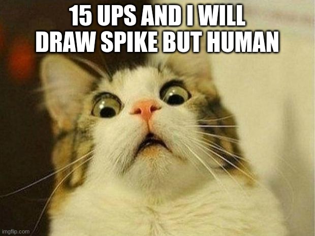 Scared Cat | 15 UPS AND I WILL DRAW SPIKE BUT HUMAN | image tagged in memes,scared cat | made w/ Imgflip meme maker