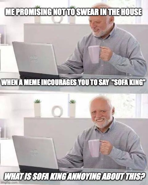 Why I hate these word scramblers. |  ME PROMISING NOT TO SWEAR IN THE HOUSE; WHEN A MEME INCOURAGES YOU TO SAY  "SOFA KING"; WHAT IS SOFA KING ANNOYING ABOUT THIS? | image tagged in memes,hide the pain harold | made w/ Imgflip meme maker