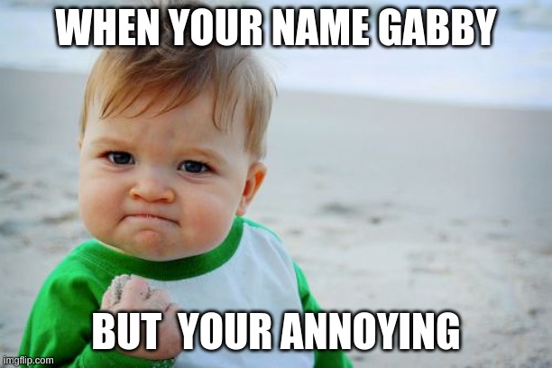 gabby gay | WHEN YOUR NAME GABBY; BUT  YOUR ANNOYING | image tagged in memes,success kid original | made w/ Imgflip meme maker