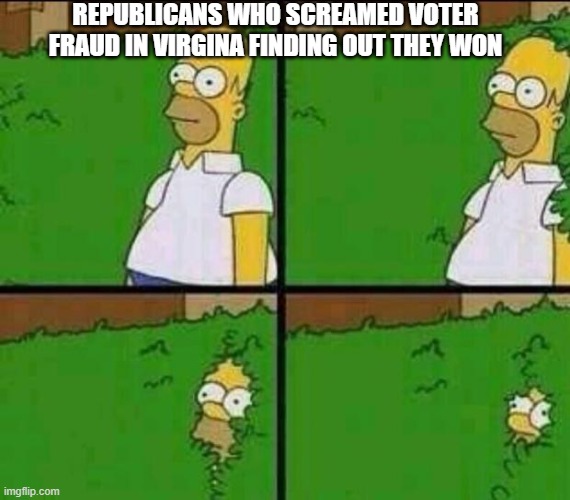 Virginia Election 2021 | REPUBLICANS WHO SCREAMED VOTER FRAUD IN VIRGINA FINDING OUT THEY WON | image tagged in homer simpson in bush - large | made w/ Imgflip meme maker
