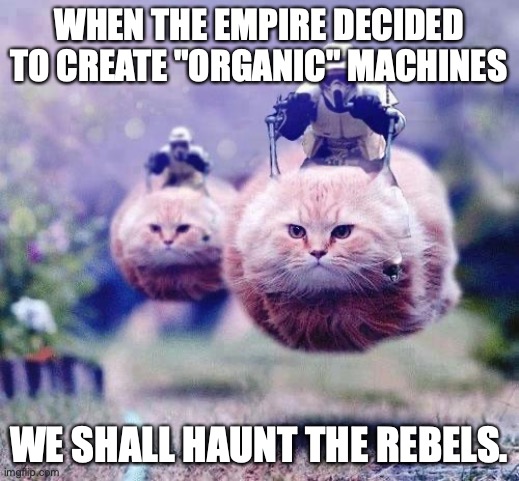 Scout trooper's brain | WHEN THE EMPIRE DECIDED TO CREATE "ORGANIC" MACHINES; WE SHALL HAUNT THE REBELS. | image tagged in storm trooper cats | made w/ Imgflip meme maker