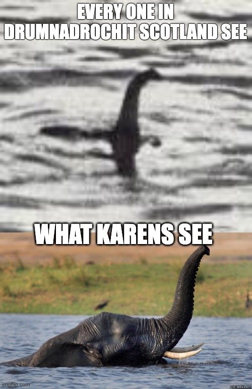 Loch ness Memes | EVERY ONE IN DRUMNADROCHIT SCOTLAND SEE; WHAT KARENS SEE | image tagged in what i see memes | made w/ Imgflip meme maker